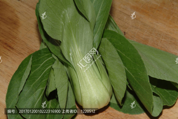 小白菜的蔬菜