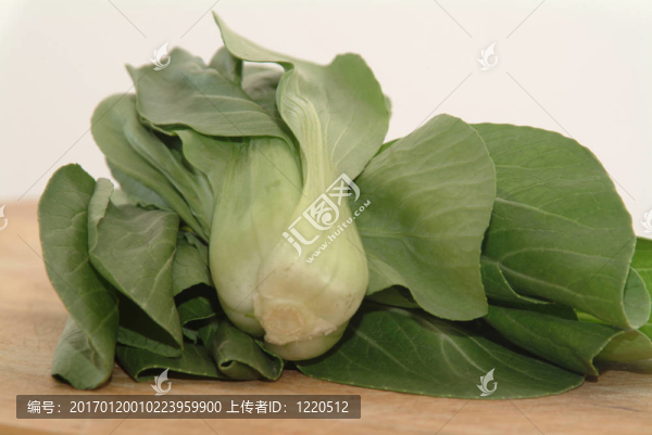 小白菜的蔬菜
