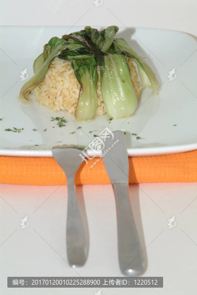 小白菜的蔬菜