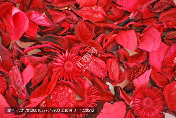 干燥花
