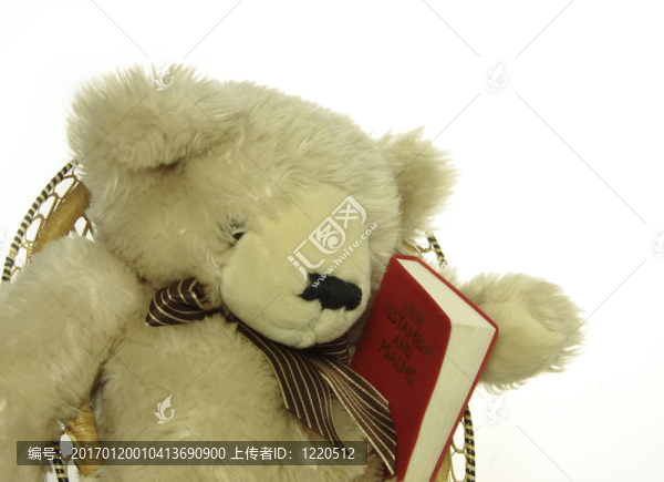泰迪與他的詩篇