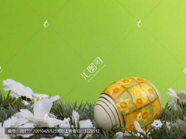 水仙花的復(fù)活節(jié)彩蛋