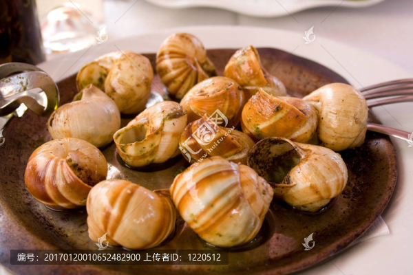 蝸牛