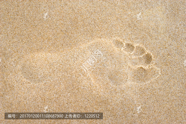 在沙灘上新鮮的腳步