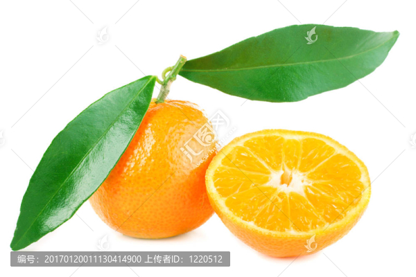 Tangerine夜店的葉子