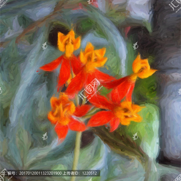 血之花