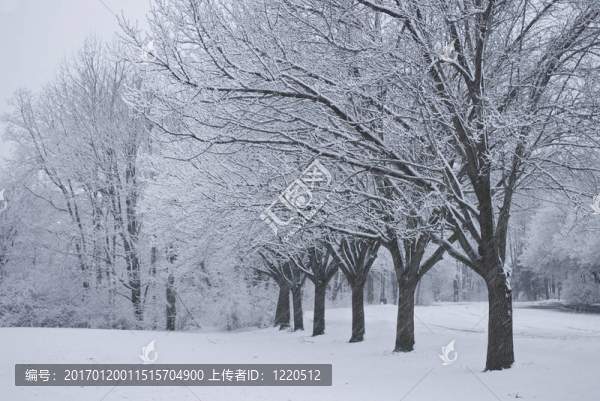 下雪-匯圖網(wǎng) www.fosd68.com 下雪