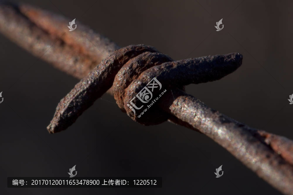 帶刺的。