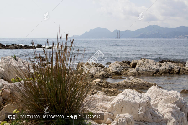 海濱