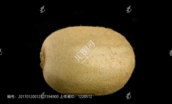 新鮮的獼猴桃