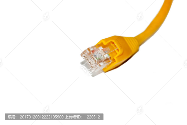 黃色貓5電纜頭