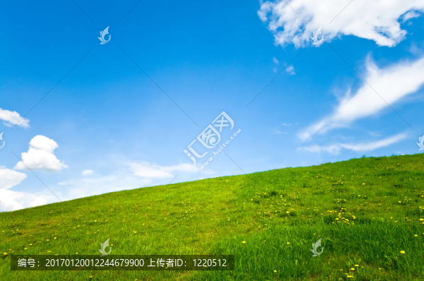 美麗的春景