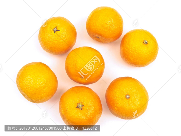 橙求購