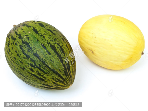 瓜-匯圖網(wǎng) www.fosd68.com 瓜