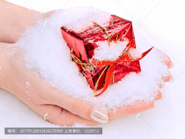 手上有雪的禮物