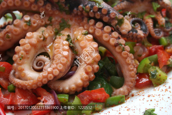 章魚和蔬菜