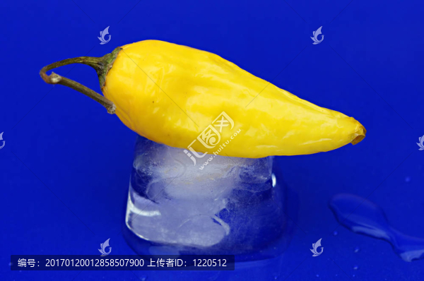 辣椒在冰