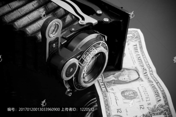 相機(jī)和美元