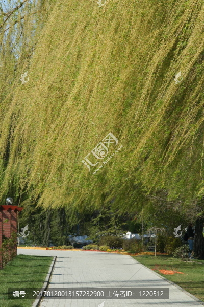 在herastrau,PARC的春天