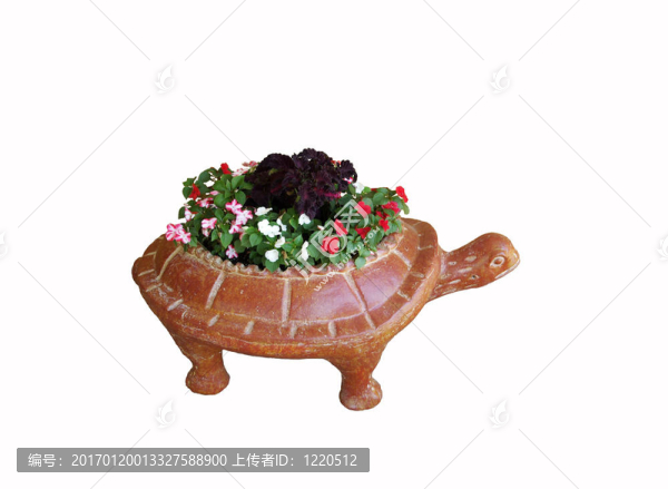 烏龜花盆