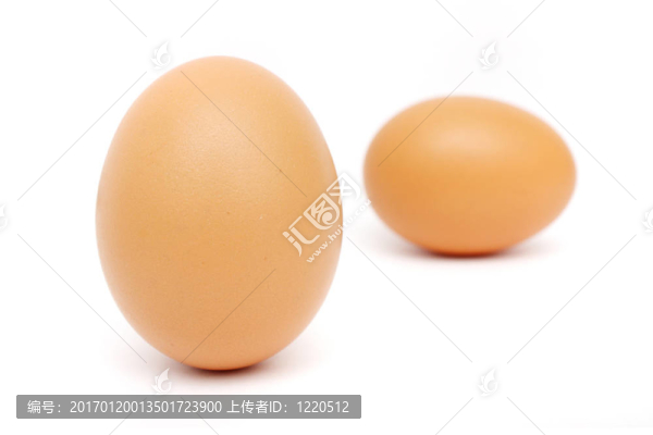 雞蛋