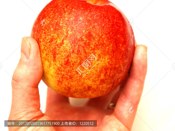 拿著蘋果-匯圖網(wǎng) www.fosd68.com 拿著蘋果