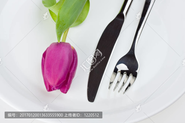 郁金香；刀叉