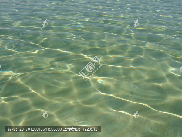 海-匯圖網(wǎng) www.fosd68.com 海