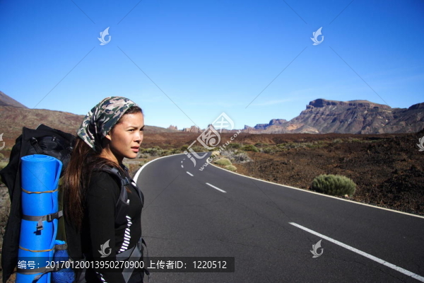 搭便車旅行者/