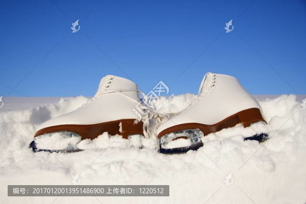 溜冰鞋-匯圖網(wǎng) www.fosd68.com 溜冰鞋