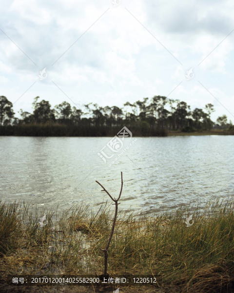 湖