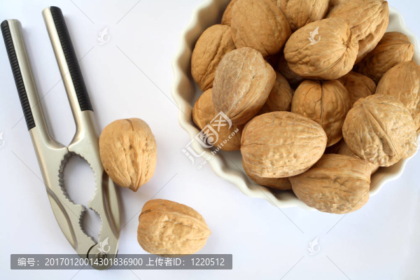 胡桃和核桃