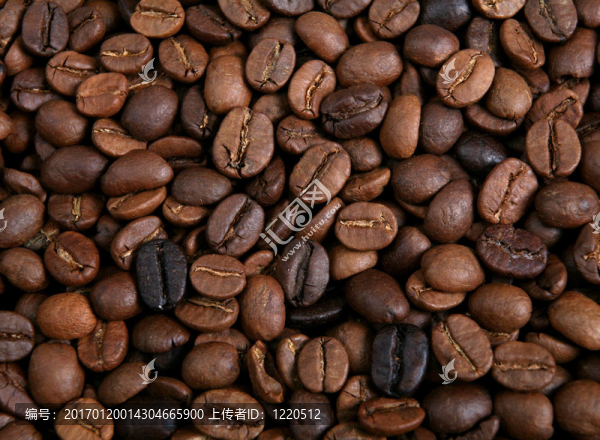 咖啡烘焙咖啡豆-匯圖網(wǎng) www.fosd68.com 咖啡烘焙咖啡豆
