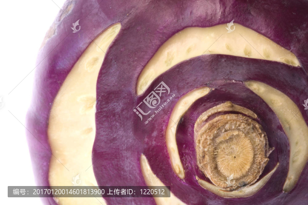 紫色的Kohlrabi,Macro