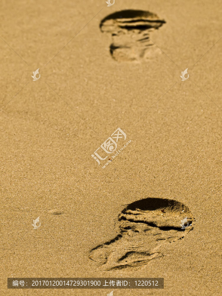 sandprint