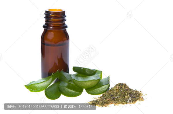 蘆薈