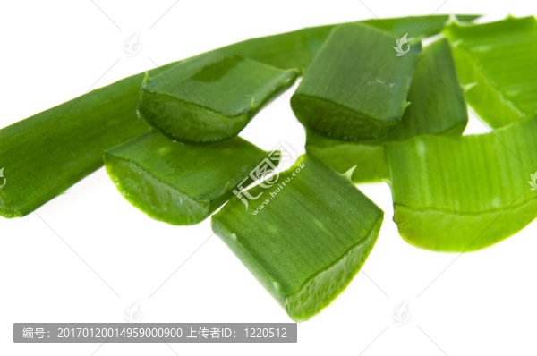 蘆薈