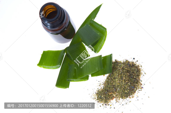 蘆薈