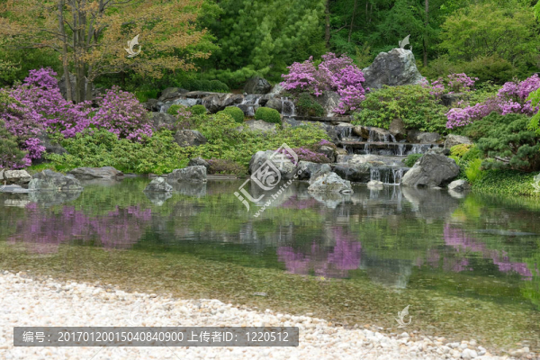 倒映在池塘中的日本花園