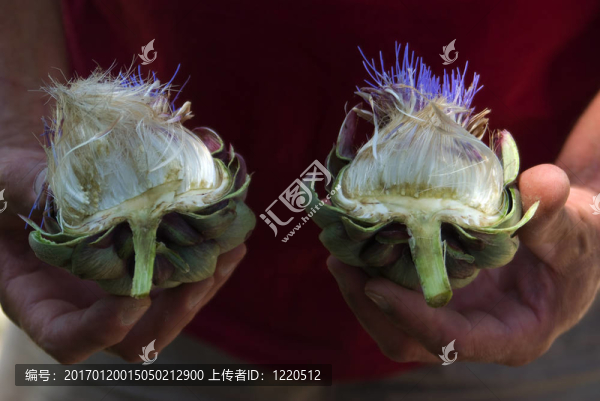 菊芋切