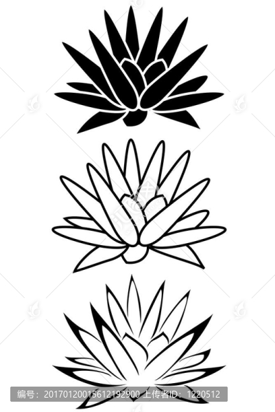 蓮花