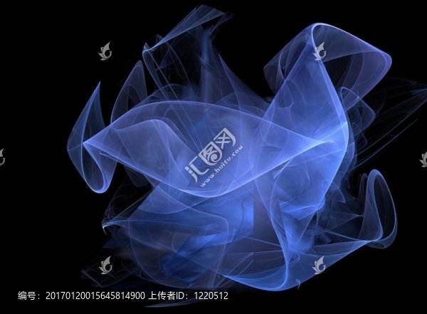 藍(lán)玫瑰2