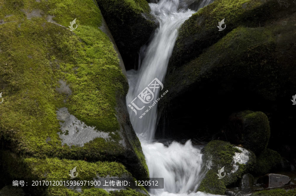 長滿青苔的小溪
