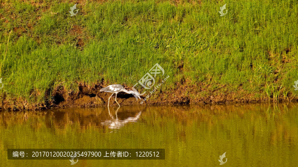 湖岸起重機(jī)-匯圖網(wǎng) www.fosd68.com 湖岸起重機(jī)