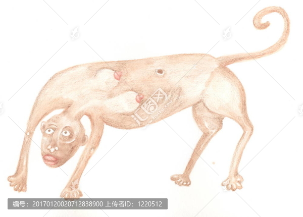 狗的幻想