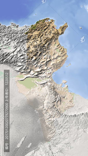 突尼斯；陰影地形圖