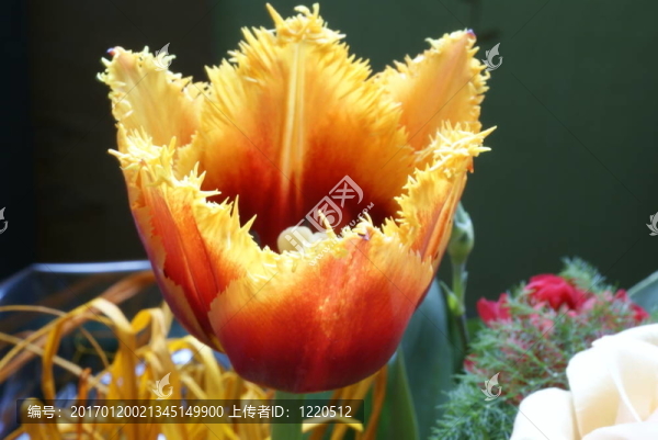 花