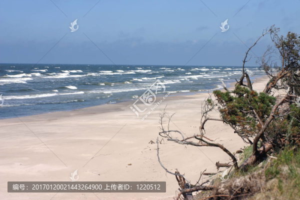 海景觀