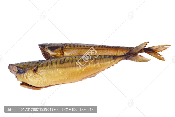 魚