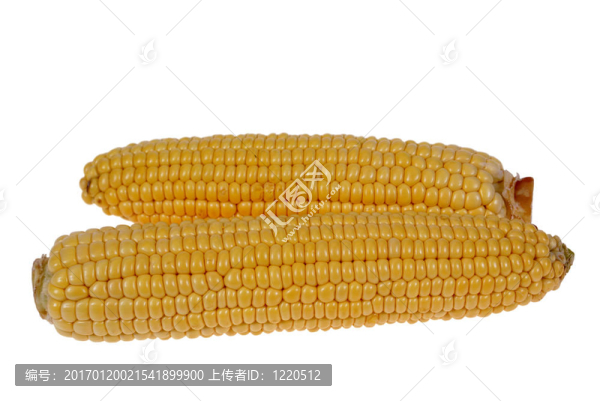 玉米棒